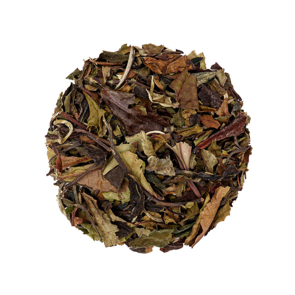 Mu Can Tea Pai Mu Tan (Bai Mu Dan) White Tea – Tejo